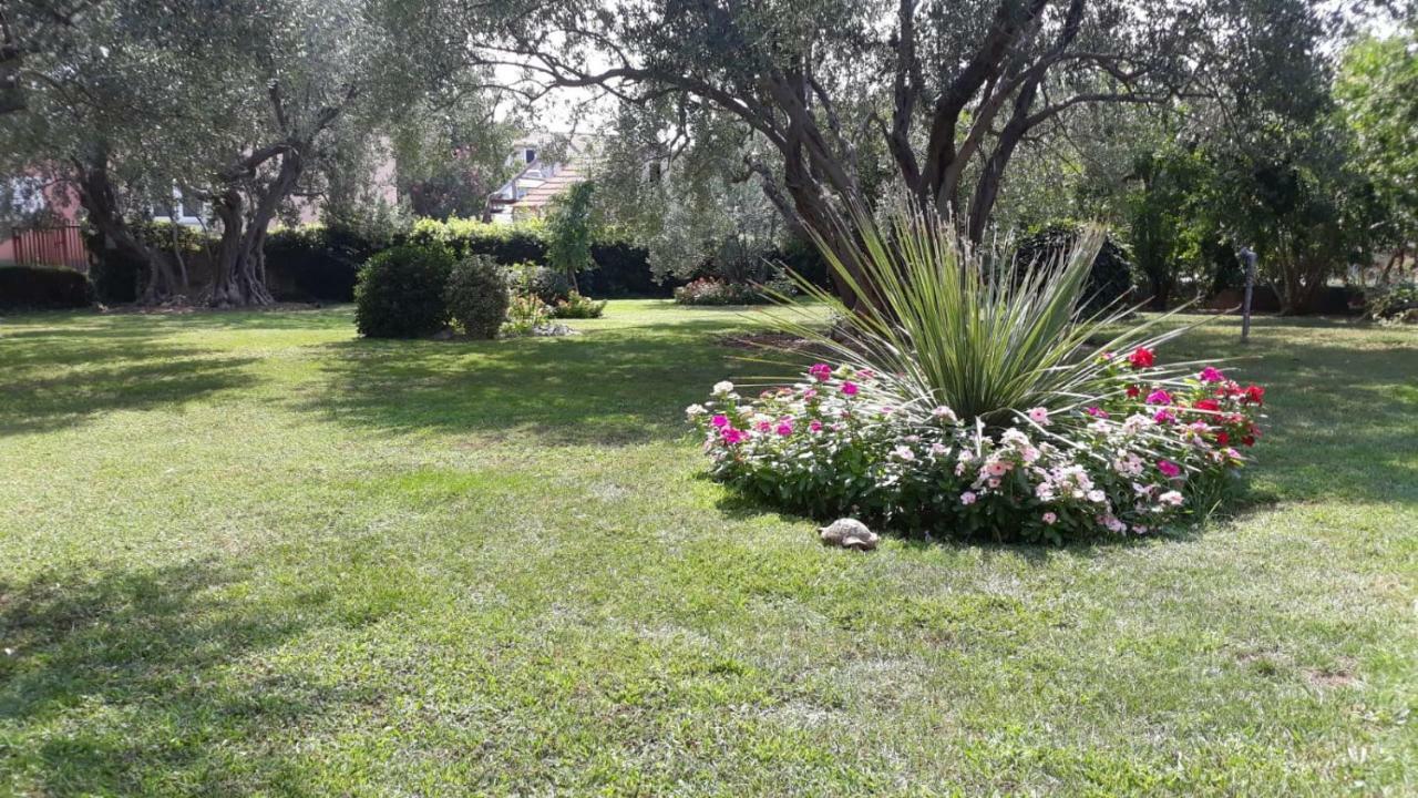 Apartmani Seka Водице Екстер'єр фото